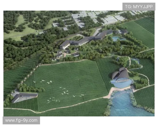 聚焦江苏足球宜兴赛区打造区域体育融合发展创新示范路径先行区